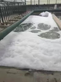 【廣東春鼎】污水處理工程_廣東春鼎環(huán)保科技有限公司