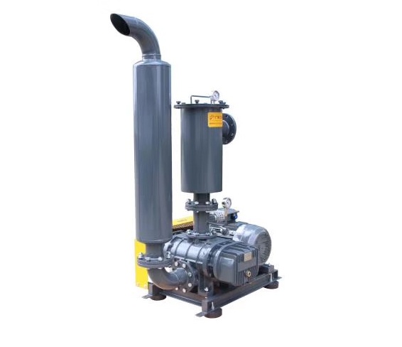 【廣東春鼎】TSV-150A真空羅茨鼓風(fēng)機(jī)_廣東春鼎環(huán)?？萍加邢薰?></dd>
<h2>【廣東春鼎】TSV-150A真空羅茨鼓風(fēng)機(jī)</h2>
</a>
</ul>

<ul class=