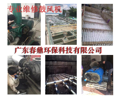 【廣東春鼎】維修羅茨鼓風(fēng)機(jī)_廣東春鼎環(huán)保科技有限公司
